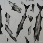 Pam Holstein. A school of drypoint fish printed at Prospect Studio with Alan Birch