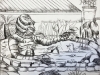 The creature from the Black Lagoon enjoys his Lockdown Pond.
