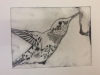 Drypoint workshop . West Yorks Print Workshop with Alan Birch.