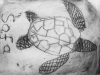 Turtle print with Alan Birch at Manchester Museum.