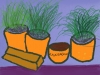 Plant pots and plants ( an early Patrick Caulfield )