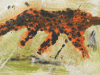 hyena-collograph.gif