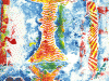 Collograph lobster