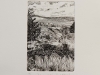 Etching and aquatint