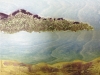Landscape with lentils