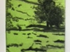 Drypoint with colour rollover